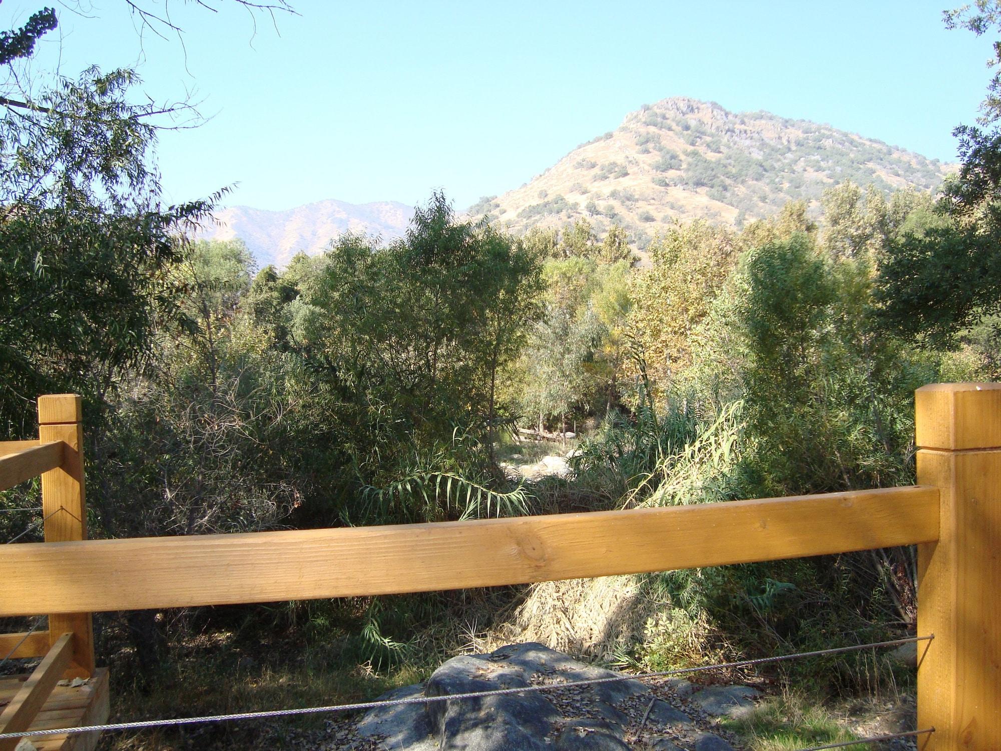 Sequoia Riverfront