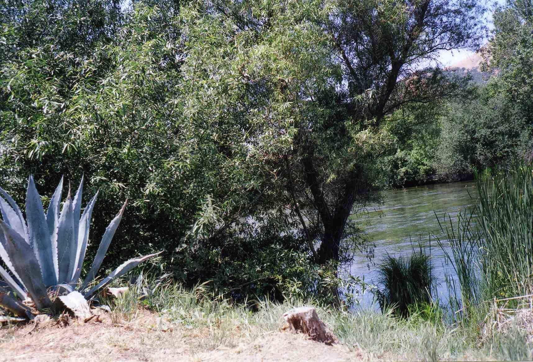 Holiday park Sequoia Riverfront Three Rivers