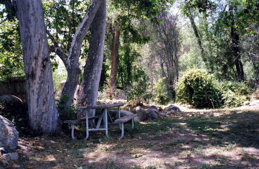Sequoia Riverfront Holiday park Three Rivers