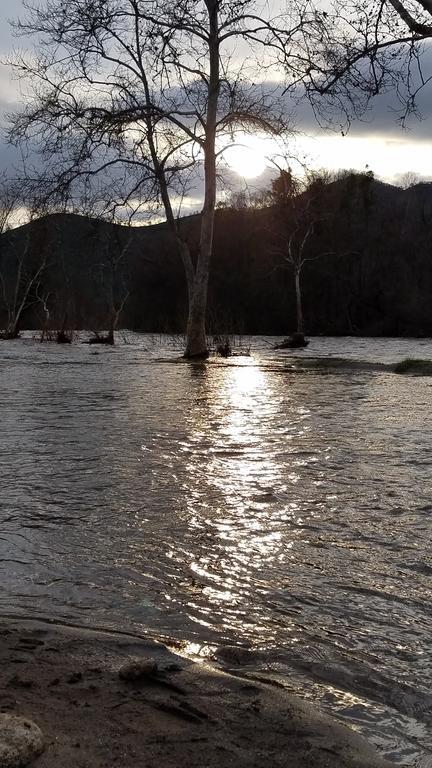 Holiday park Sequoia Riverfront